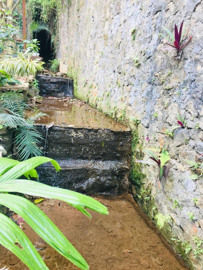 Kandy Ivy Banks Holiday Resort Экстерьер фото
